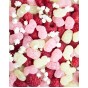 Wellibites Bezcukura konfektes ar plūškoka ziedu-aveņu garšu 70 g - 1